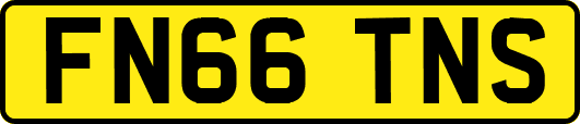 FN66TNS