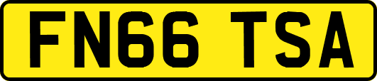 FN66TSA