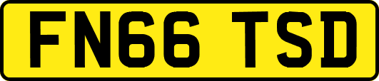 FN66TSD