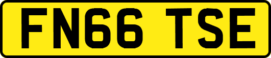 FN66TSE