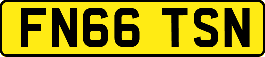 FN66TSN
