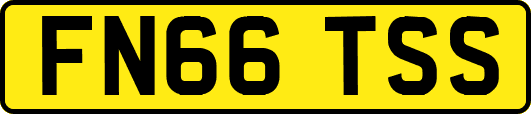 FN66TSS