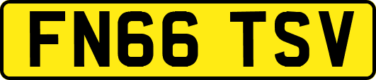FN66TSV
