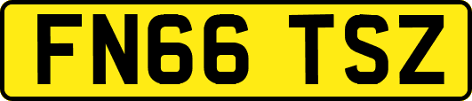 FN66TSZ