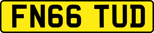 FN66TUD
