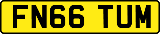 FN66TUM