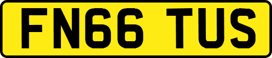 FN66TUS
