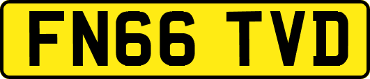 FN66TVD