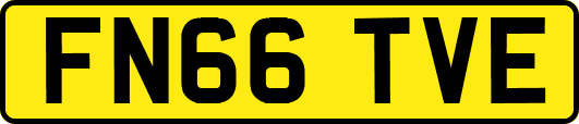 FN66TVE