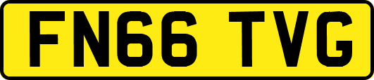 FN66TVG