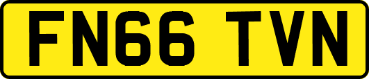 FN66TVN