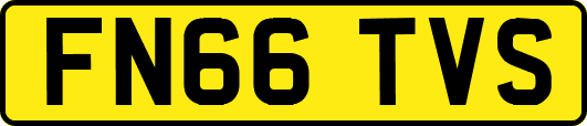 FN66TVS