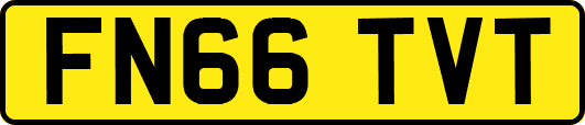 FN66TVT
