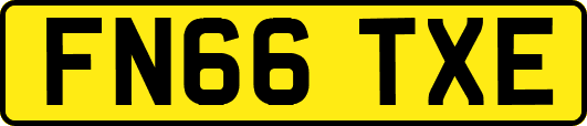 FN66TXE