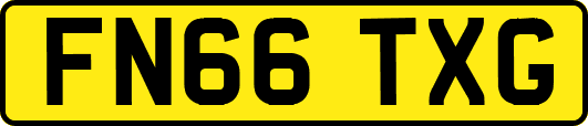 FN66TXG