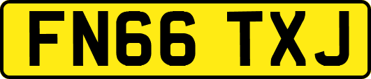 FN66TXJ