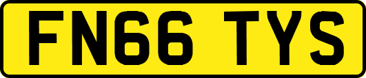 FN66TYS