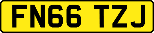 FN66TZJ