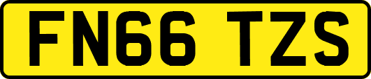FN66TZS