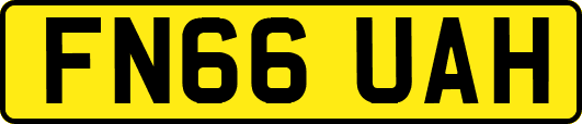 FN66UAH