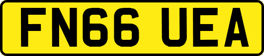 FN66UEA