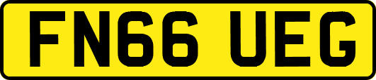 FN66UEG