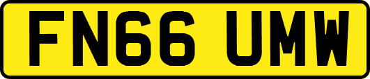 FN66UMW