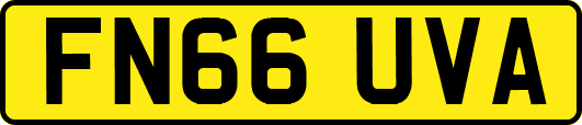 FN66UVA