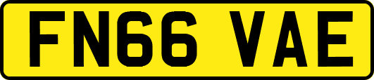 FN66VAE