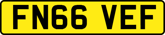 FN66VEF