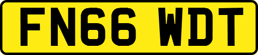 FN66WDT
