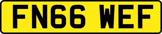 FN66WEF