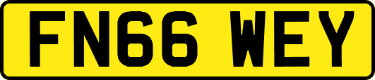 FN66WEY