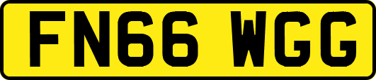 FN66WGG
