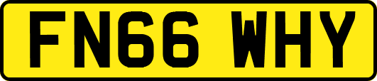 FN66WHY