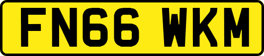 FN66WKM