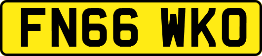 FN66WKO