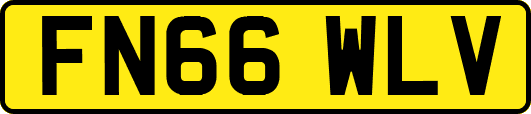FN66WLV
