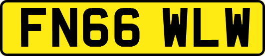 FN66WLW
