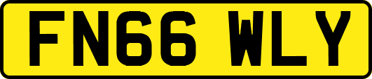 FN66WLY