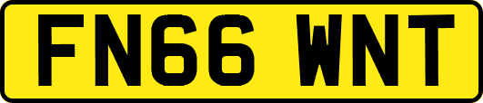 FN66WNT