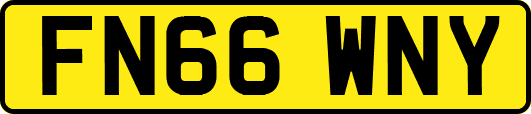 FN66WNY