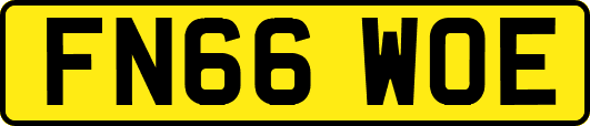 FN66WOE