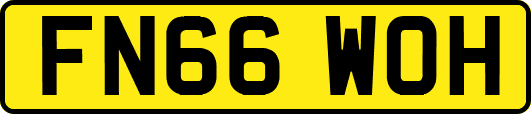 FN66WOH