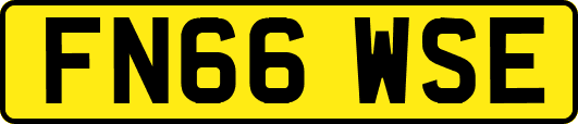 FN66WSE