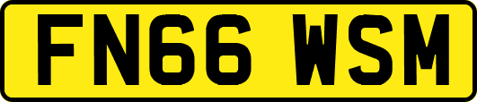 FN66WSM