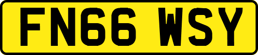 FN66WSY
