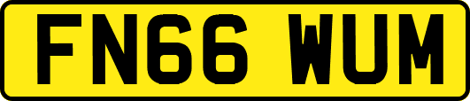 FN66WUM