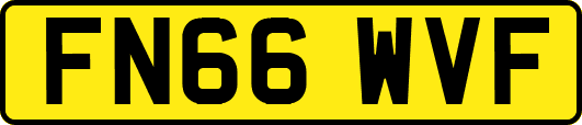 FN66WVF