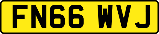 FN66WVJ